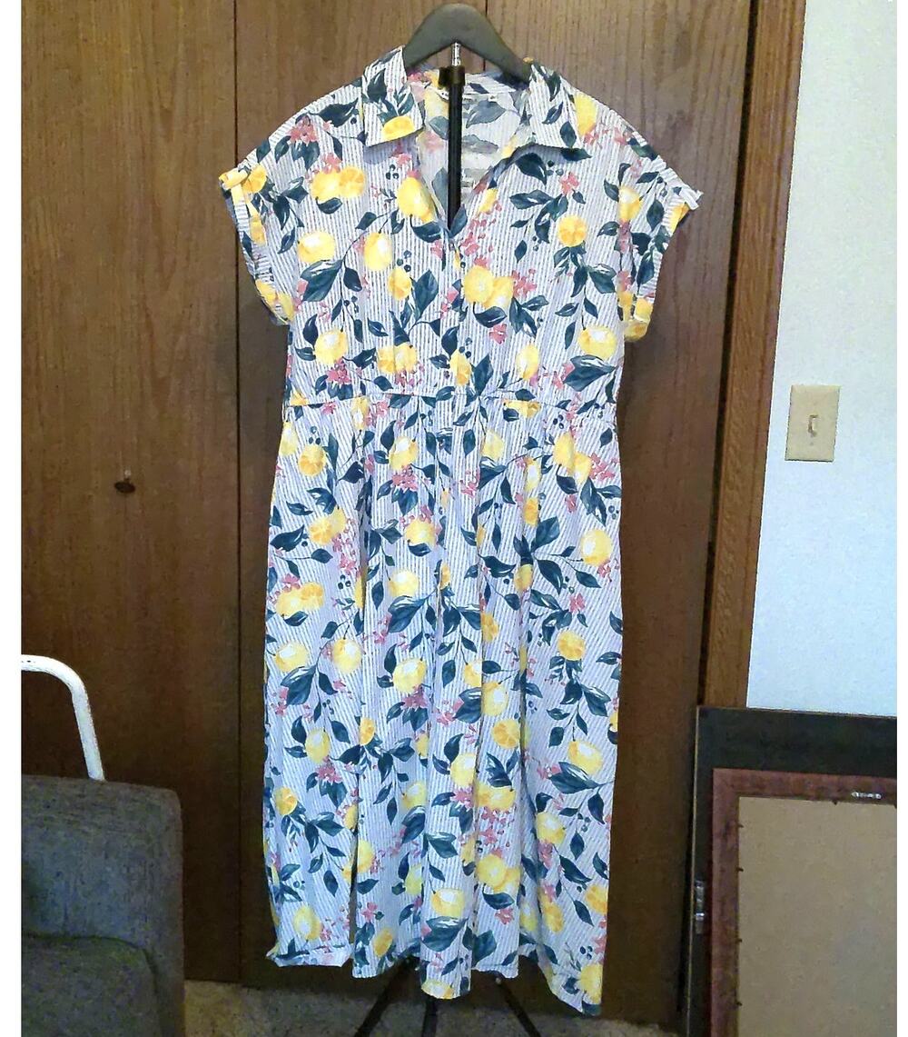 NWT Emily Daniels Lemon Stripe Floral Button Down Dress Blue White Size L